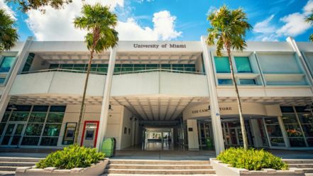 Universidad de Miami