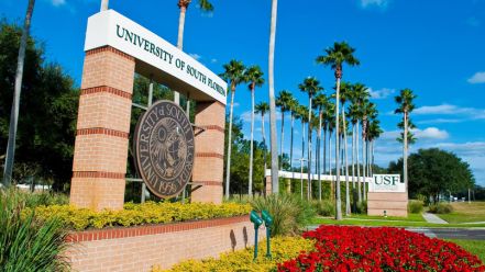 Universidad del Sur de Florida (USF)