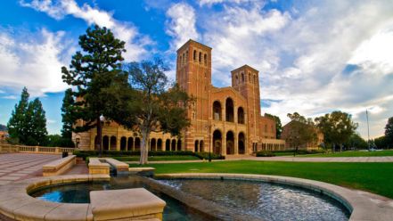 universidad de california los ángeles (ucla)