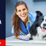 ¿Cuánto cuesta la carrera de veterinaria en Estados Unidos? Descubre todo lo que necesitas saber