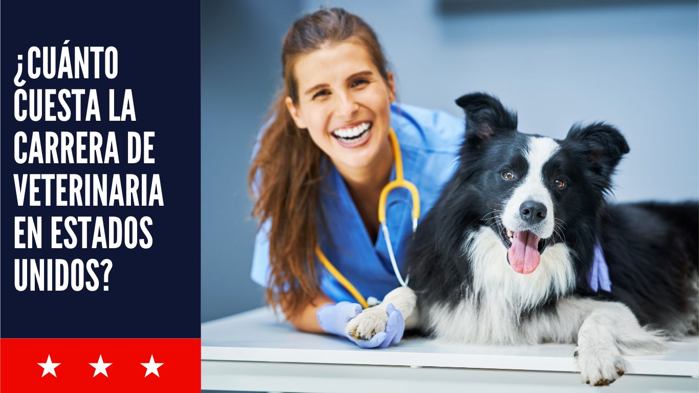 Cuánto cuesta la carrera de veterinaria en Estados Unidos