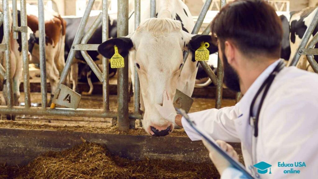 cuanto sale la carrera de veterinaria